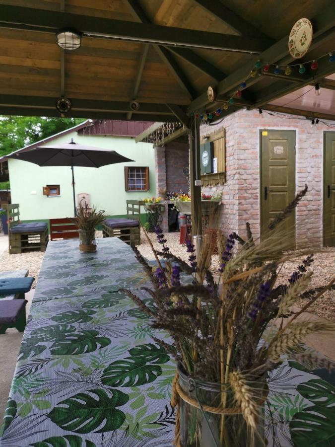 Berko Vendeghaz Apartment Rakoczifalva Exterior foto