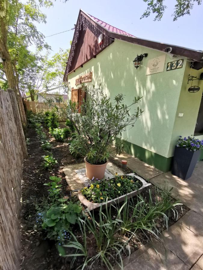 Berko Vendeghaz Apartment Rakoczifalva Exterior foto